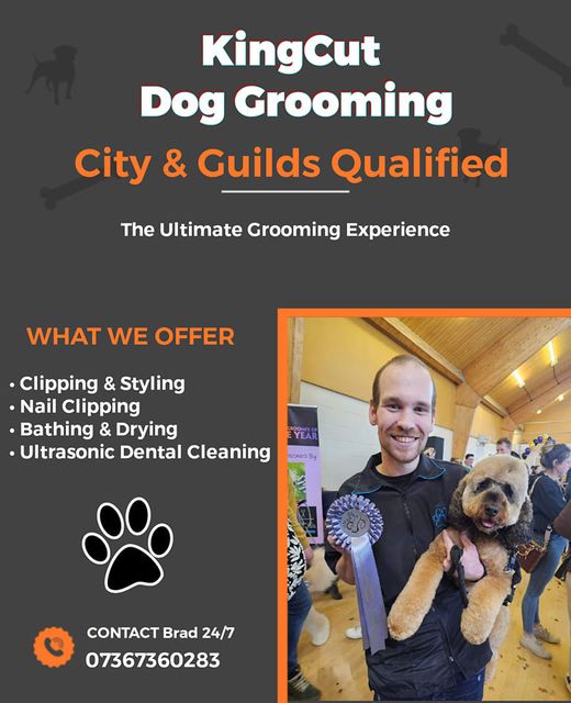 KingCut Dog Grooming